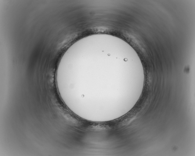 X0000089850545200707262110