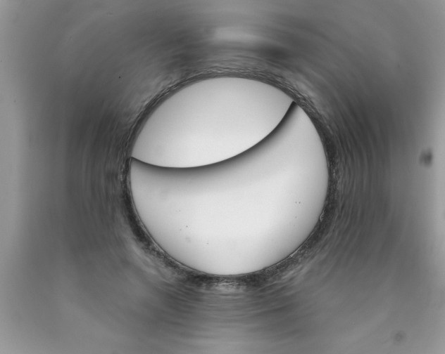 X0000089850546200707262110