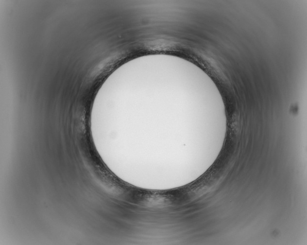 X0000089850547200707262110