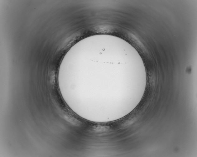 X0000089850549200707262110