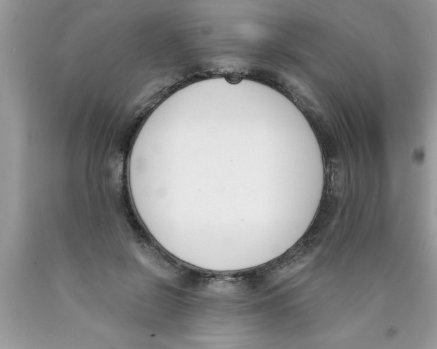 X0000089850550200707262110