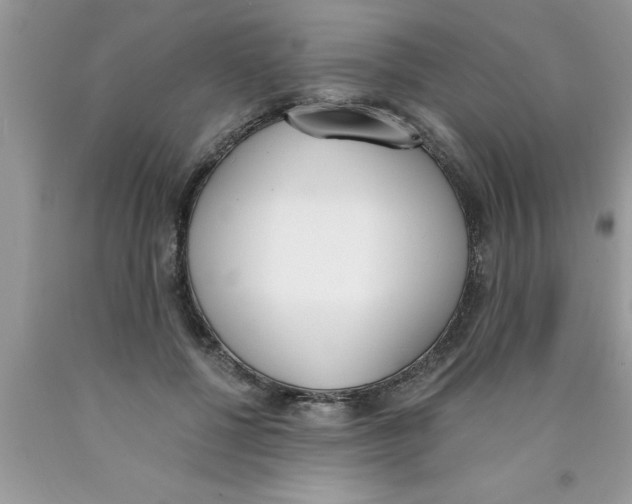 X0000089850552200707262110