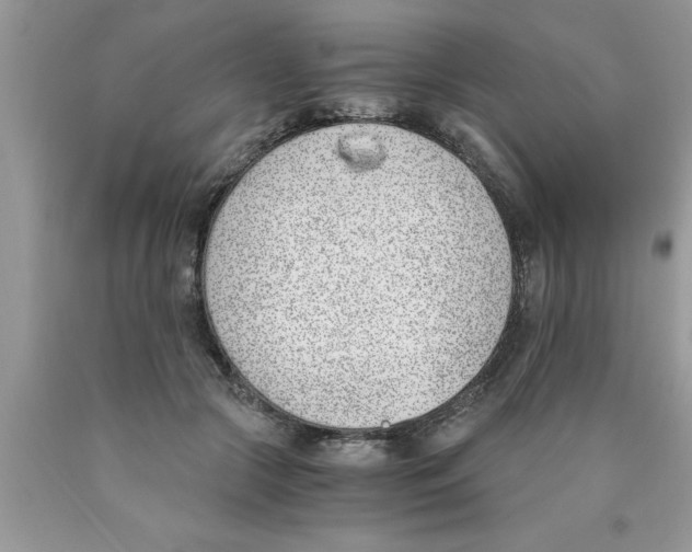 X0000089850553200707262110