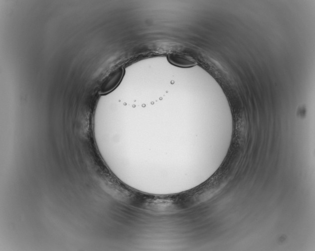 X0000089850554200707262110