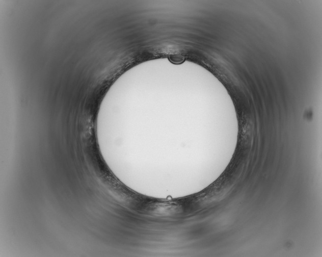 X0000089850555200707262110