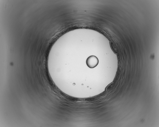 X0000089850556200707262110