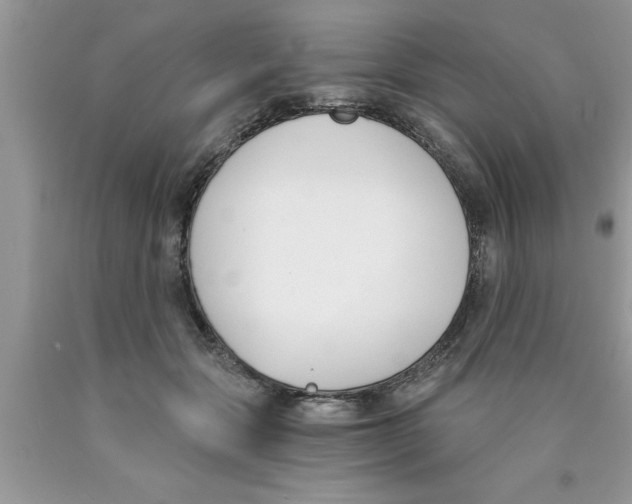 X0000089850557200707262110