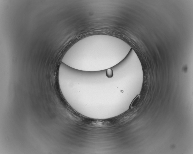 X0000089850558200707262110