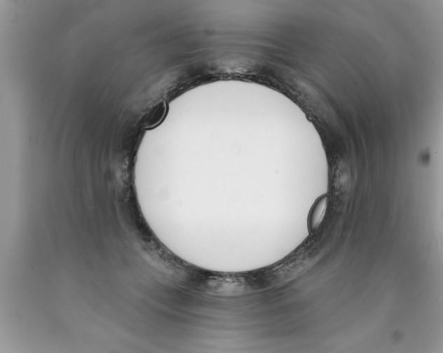 X0000089850559200707262110