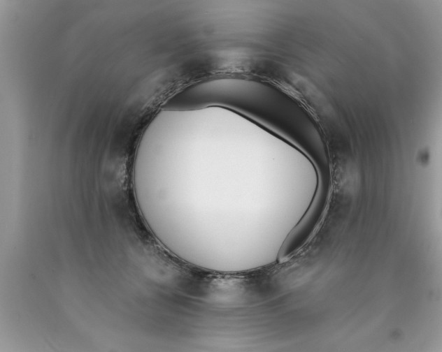 X0000089850560200707262110