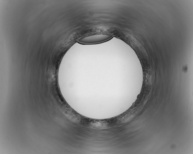 X0000089850561200707262110