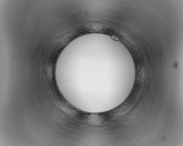 X0000089850562200707262110