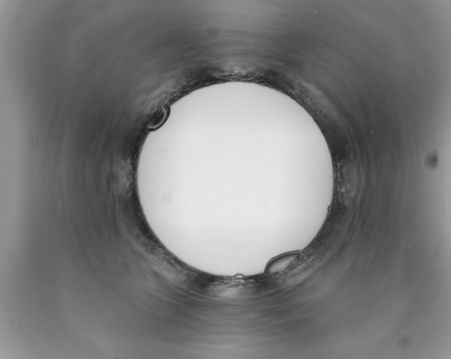 X0000089850563200707262110