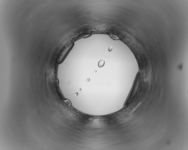 X0000089850564200707262110