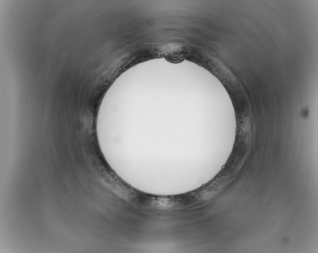 X0000089850565200707262110