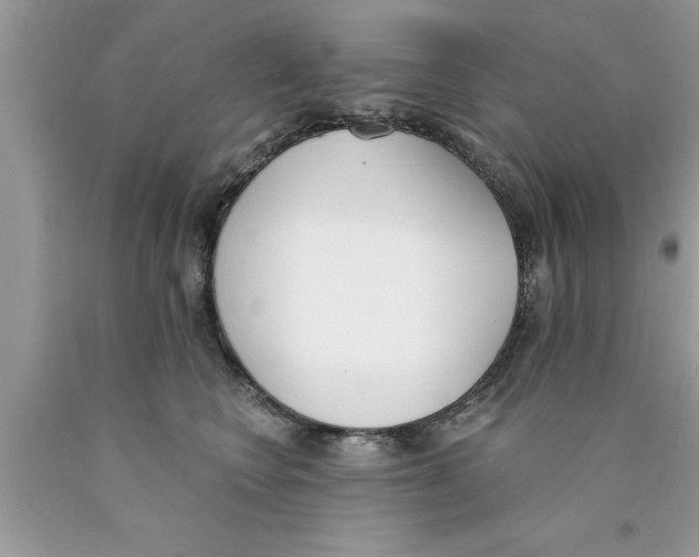 X0000089850566200707262110