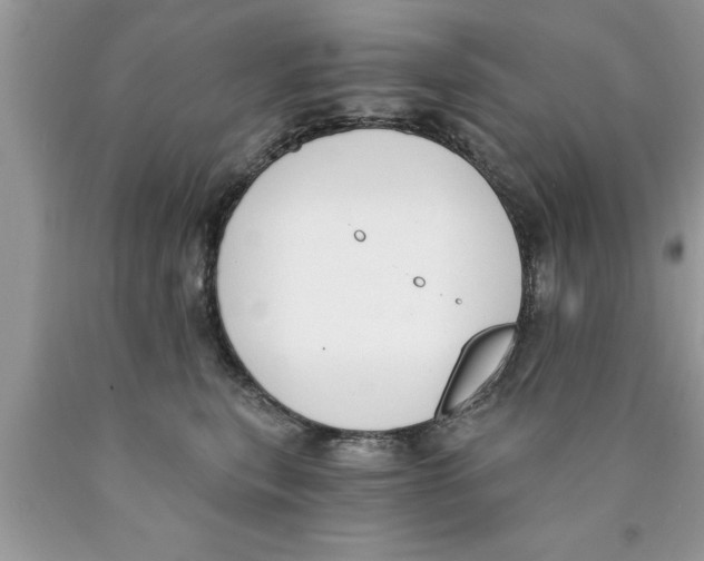 X0000089850567200707262110