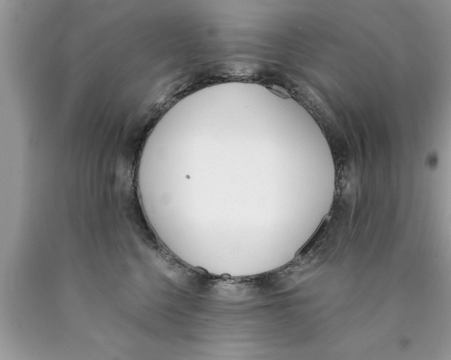 X0000089850568200707262110