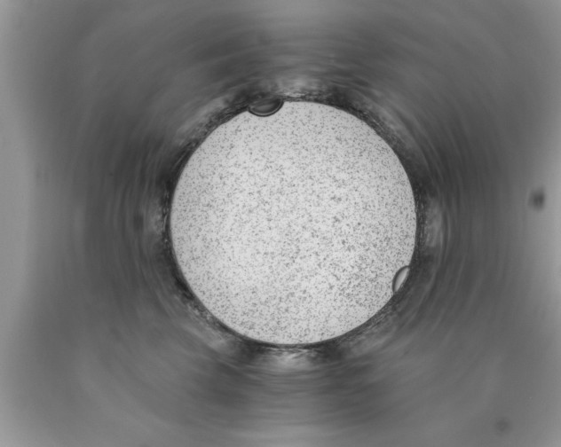 X0000089850569200707262110