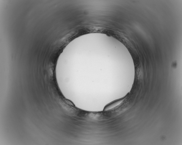 X0000089850570200707262110