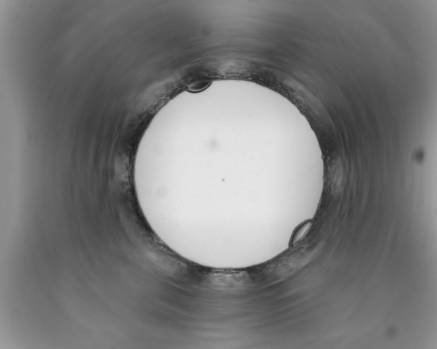 X0000089850571200707262110