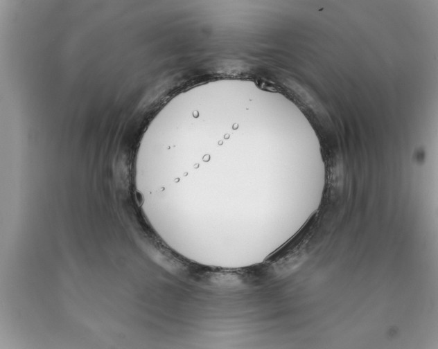 X0000089850572200707262110