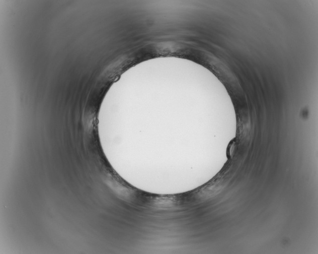 X0000089850574200707262110