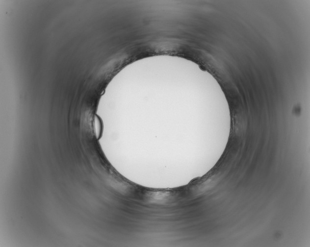 X0000089850575200707262110