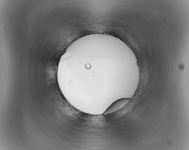 X0000089850576200707262110