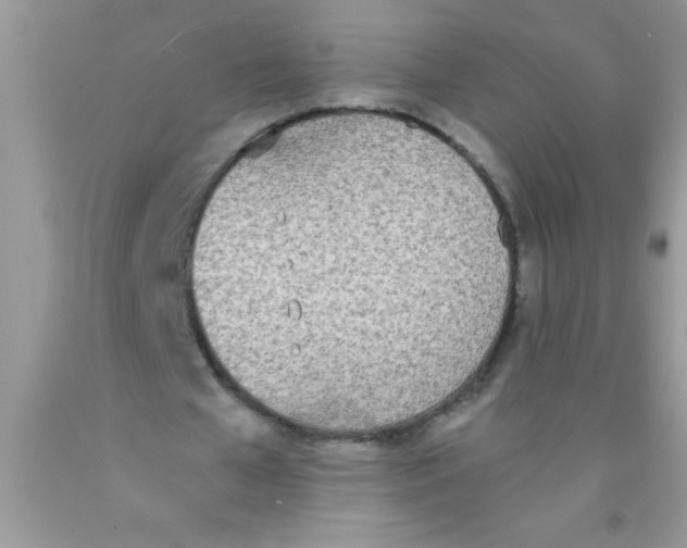 X0000089850577200707262109