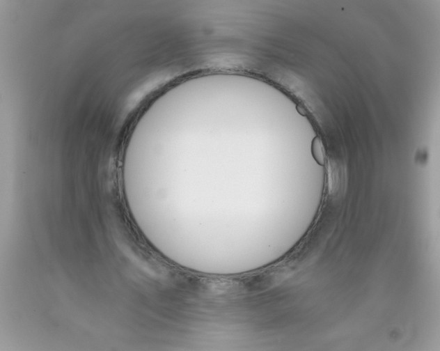 X0000089850579200707262109