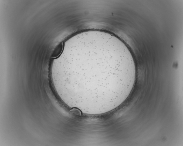 X0000089850581200707262109