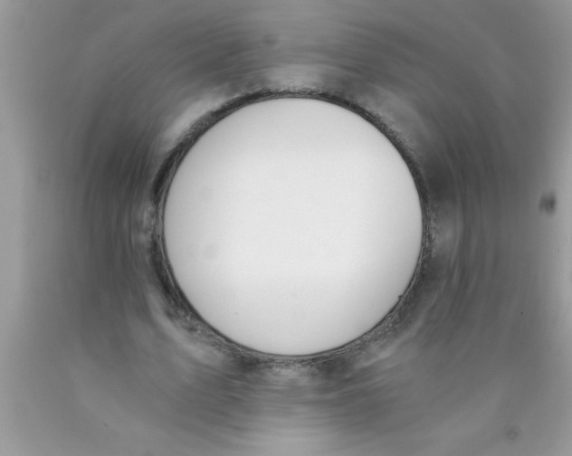 X0000089850583200707262109