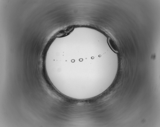 X0000089850584200707262109