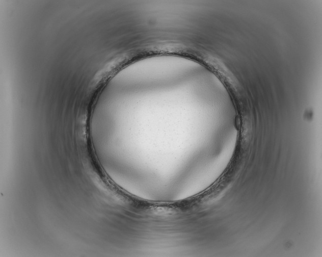 X0000089850585200707262109