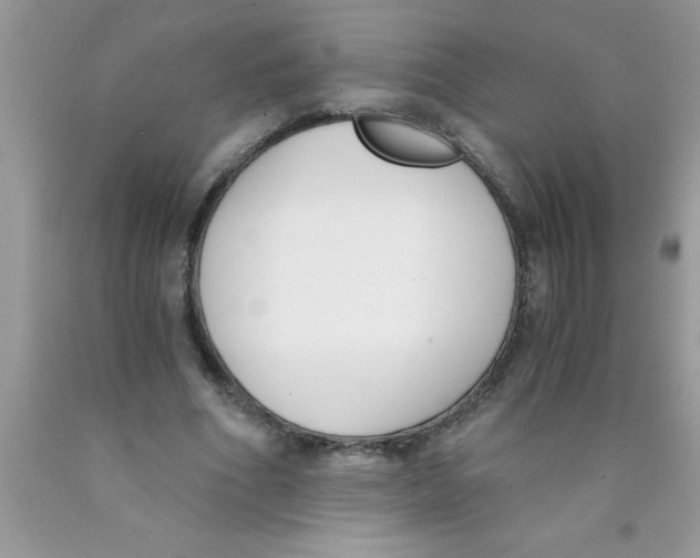 X0000089850586200707262109