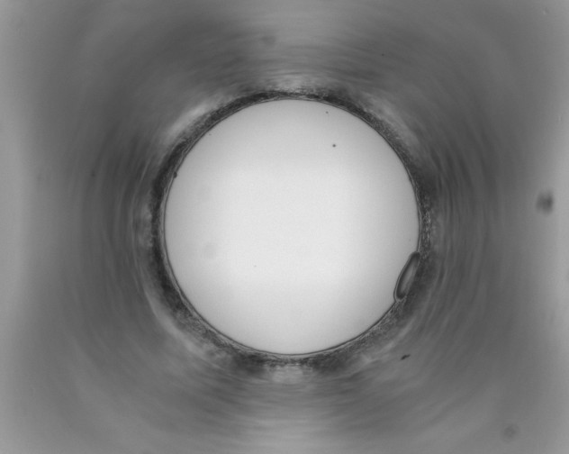 X0000089850587200707262109