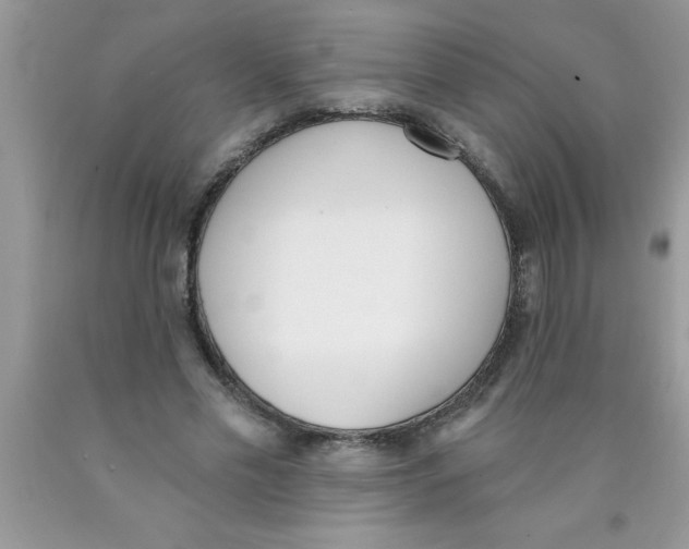 X0000089850589200707262109