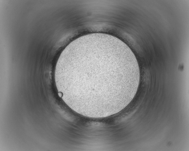 X0000089850590200707262109