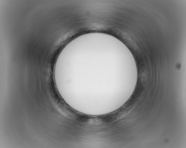 X0000089850591200707262109