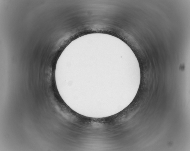 X0000089850592200707262109