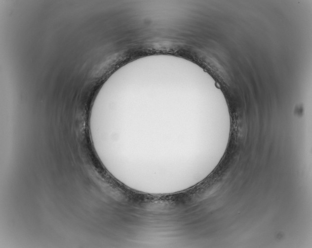 X0000089850593200707262109