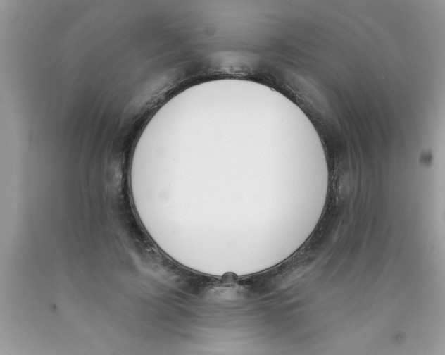 X0000089850595200707262109