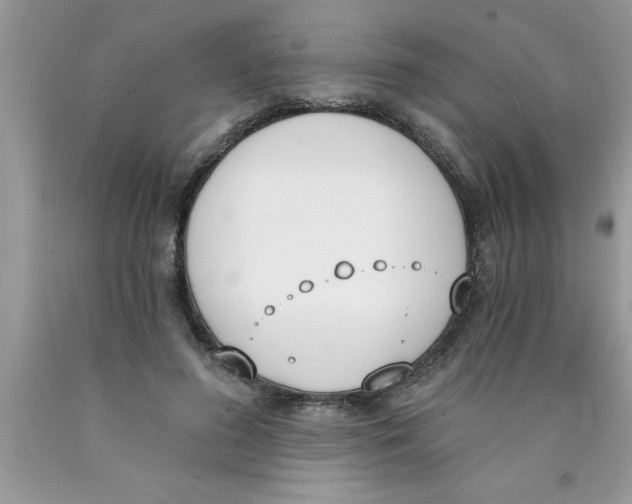 X0000089850596200707262109