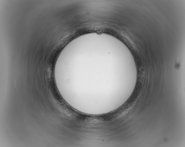 X0000089850597200707262109