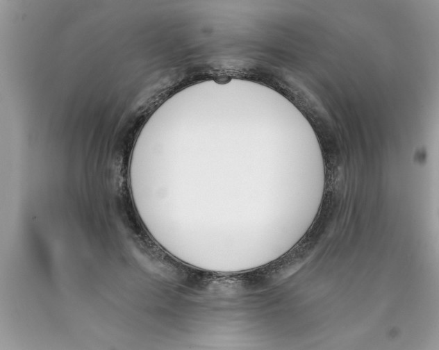 X0000089850599200707262109