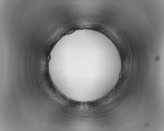 X0000089850600200707262109