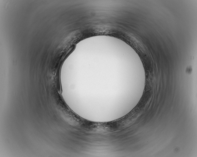 X0000089850601200707262109