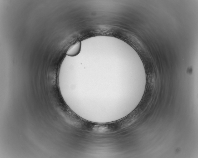 X0000089850602200707262109