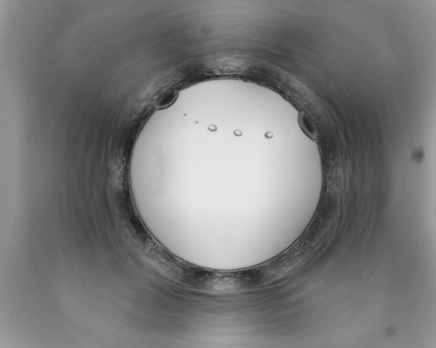 X0000089850604200707262109